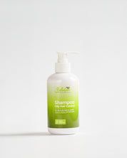 Shampoo para Cabello Graso Bellahair